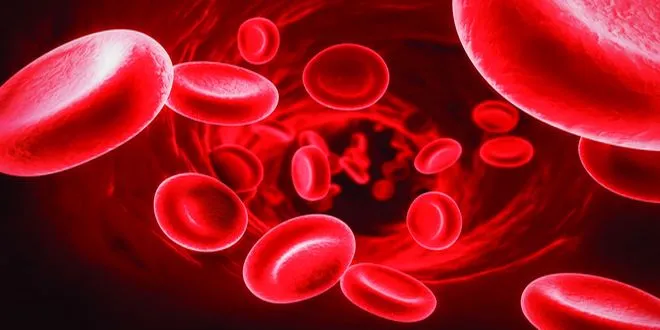 Почему повышен гемоглобин в крови, что нужно делать